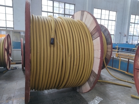 <img src=http://www.51dna.cn/d/file/a4e2c0d56f383e112b8babd7d9ae67c4.jpg height=300>